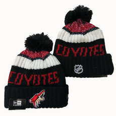 Arizona Coyotes NHL Knit Beanie Hats YD 1