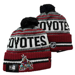 Arizona Coyotes NHL Knit Beanie Hats YD 4