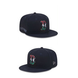 Boston Red Sox MLB Snapbacks Hats tx 022