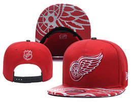 Detroit Red Wings NHL Snapbacks Hats YD 001