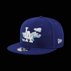 Los Angeles Dodgers MLB Snapbacks Hats TX 55