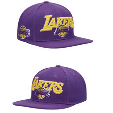 Los Angeles Lakers NBA Snapbacks Hats TX 25
