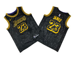 Nike Los Angeles Lakers #23 Lebron James Black Snake City Authentic Stitched NBA jerseys