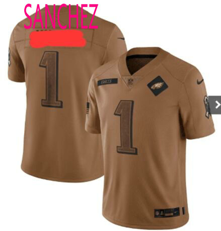 Nike Philadelphia Eagles #1 SANCHEZ 2023 Salute To Service Authentic Stitched NFL jersey