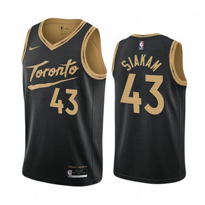 Nike Toronto Raptors #43 Pascal Siakam 2020-21 Back City Authentic Stitched NBA Jersey