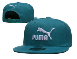 Puma Snapbacks Hat TX 11