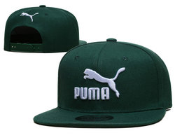 Puma Snapbacks Hat TX 5