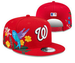 Washington Nationals MLB Snapbacks Hats YD 002